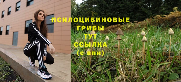 прущие грибы Алексеевка