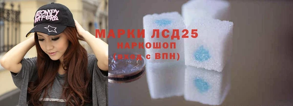 прущие грибы Алексеевка