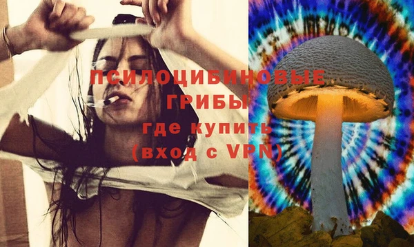 apvp Алзамай