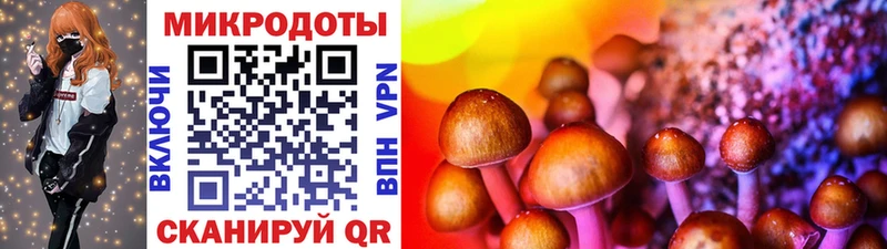 Псилоцибиновые грибы ЛСД Ахтубинск